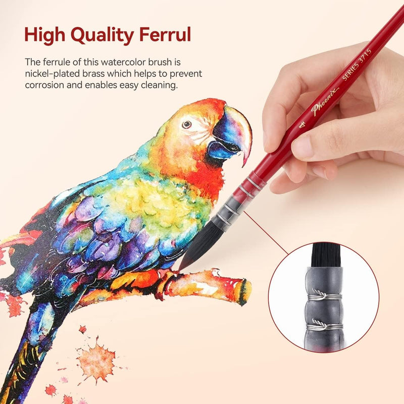 Paul Rubens Professional Watercolor Paint Brush, Size 6 Wash/Mop Round  Squirrel Hair Paint Brush