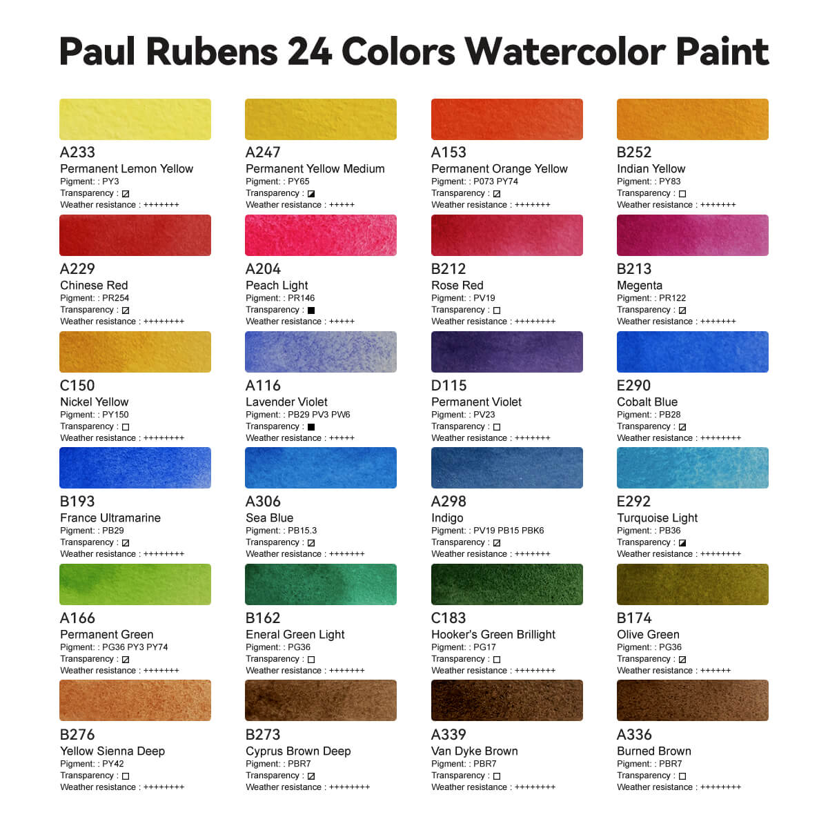 Paul Rubens Solid Watercolor Paint Set Artist Grade, 24 Vivid Floral Colors