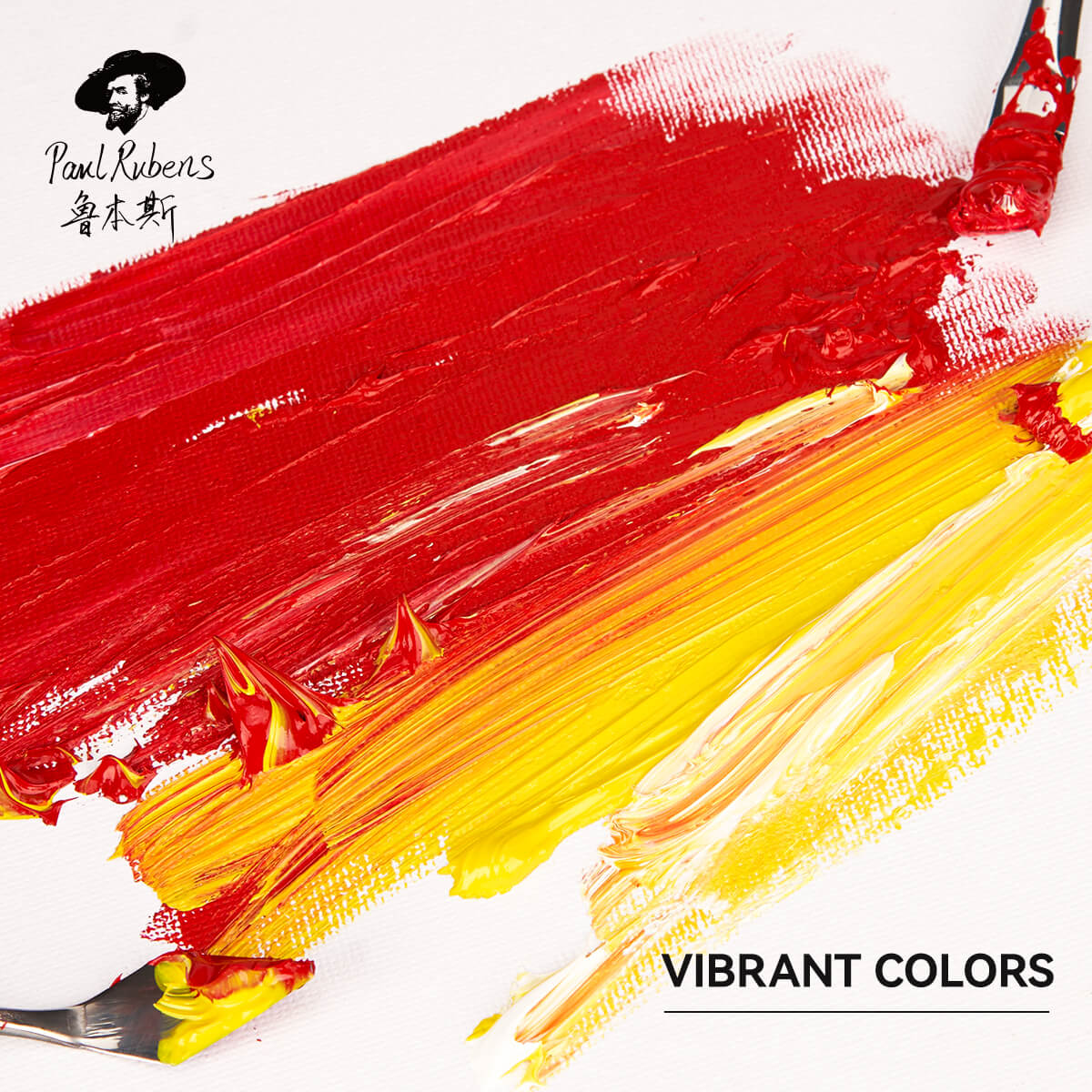 Paul Rubens Artist Oil Paint, 10 Vibrant Colors with Great Lastfastness, 40ml Large Capacity Tubes