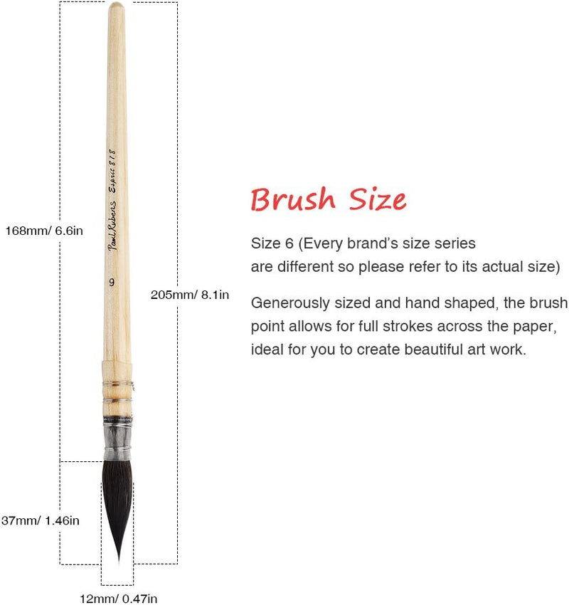 Paul Rubens Professional Watercolor Paint Brush, Size 6 Wash/Mop Round –  Lightwish