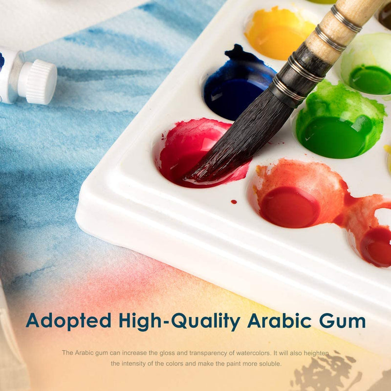 Paul Rubens Gum Arabic 60ml Watercolor Medium Professional Painting Tools  Used for Increases Gloss and Transparency
